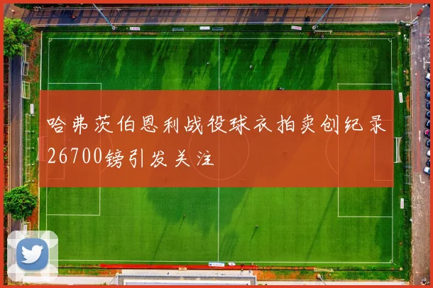 哈弗茨伯恩利战役球衣拍卖创纪录26700镑引发关注